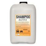 shampoo-auto-10